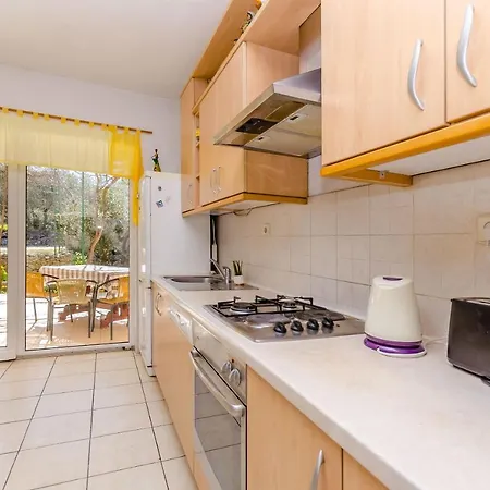 Apartment Stara Maslina *